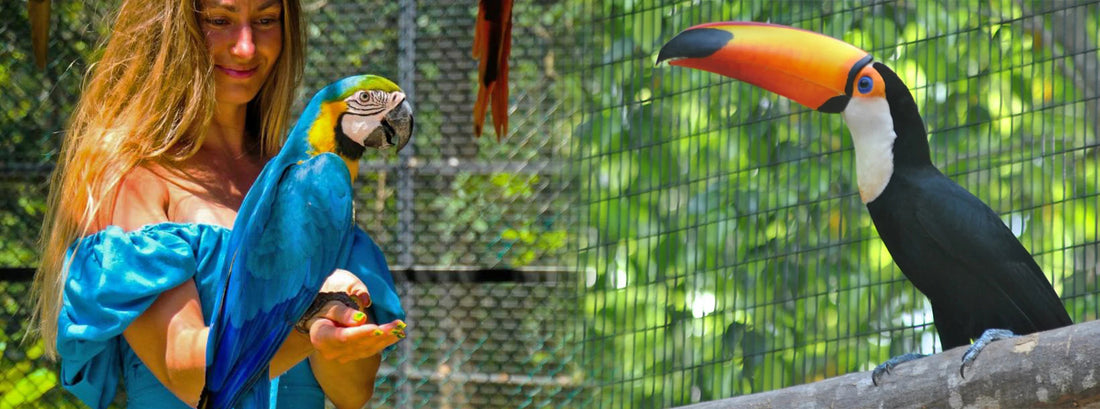 Birds Park & Birds Research Center