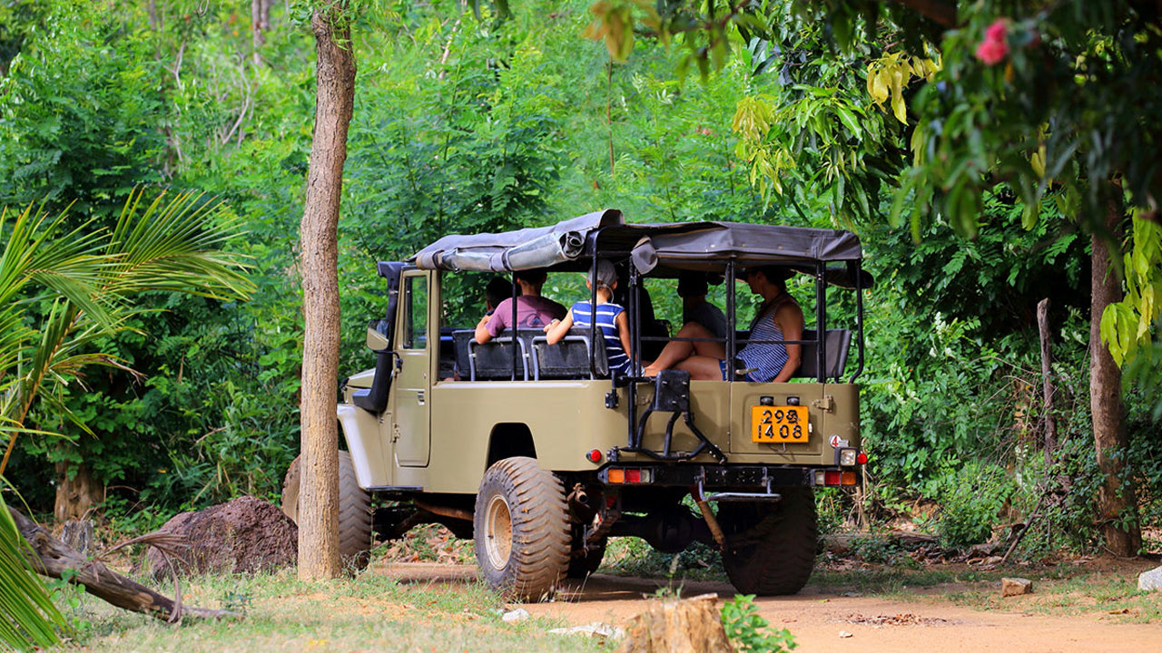 Safari from Habarana