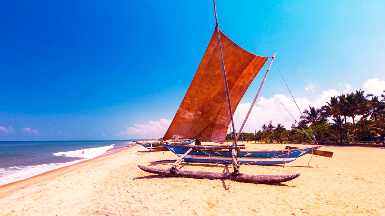 Day Tours from Negombo