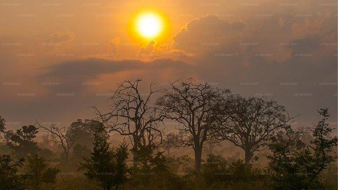 Udawalawe from Bentota (2 Days)