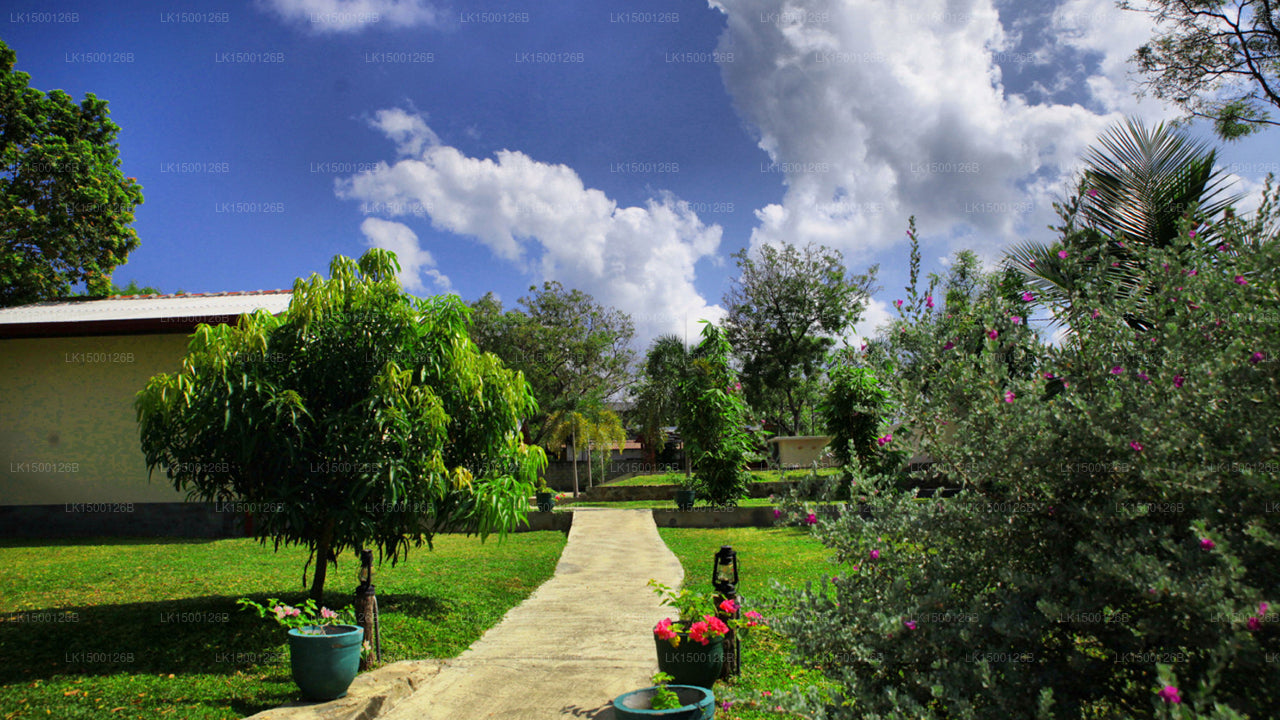 Jungle Paradise, Udawalawe