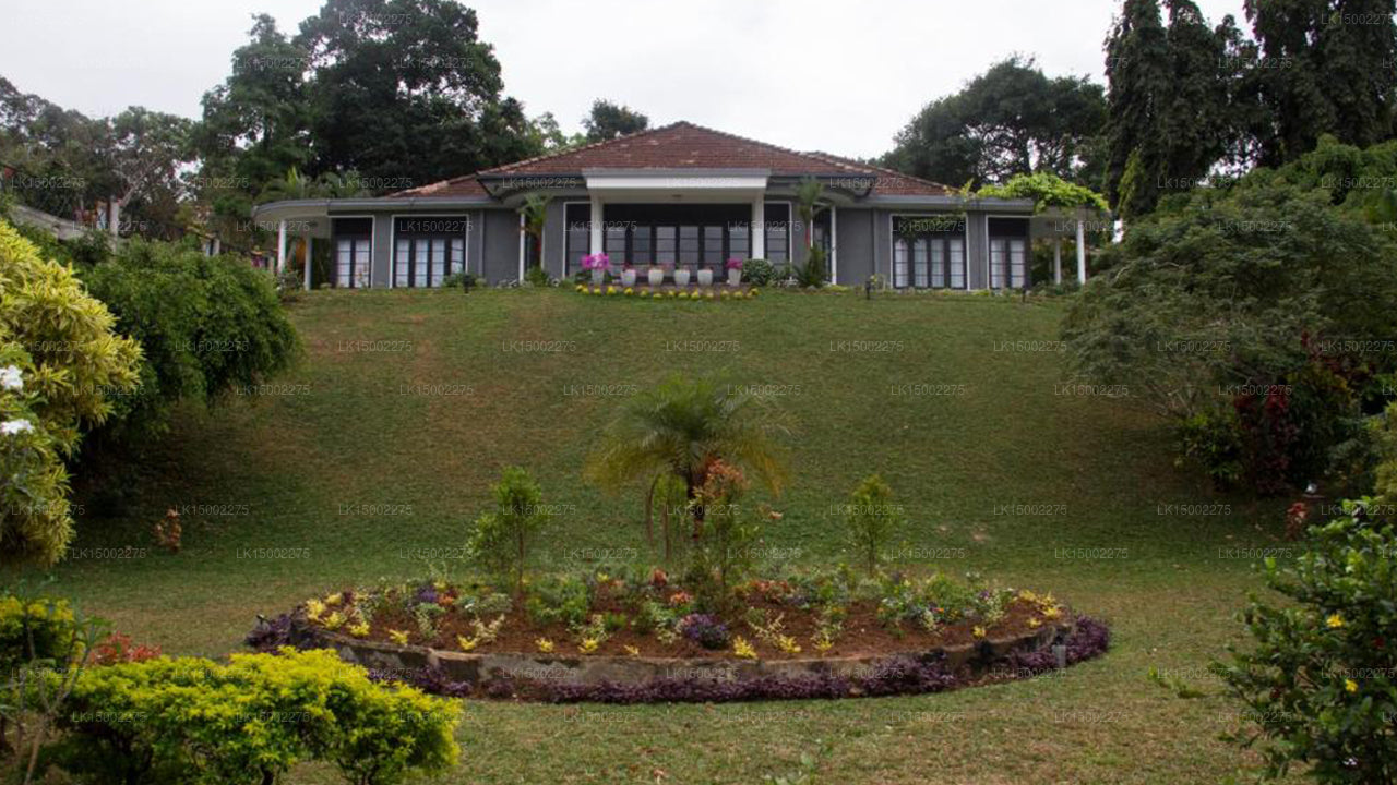 Castle Hill Guest House, Kandy