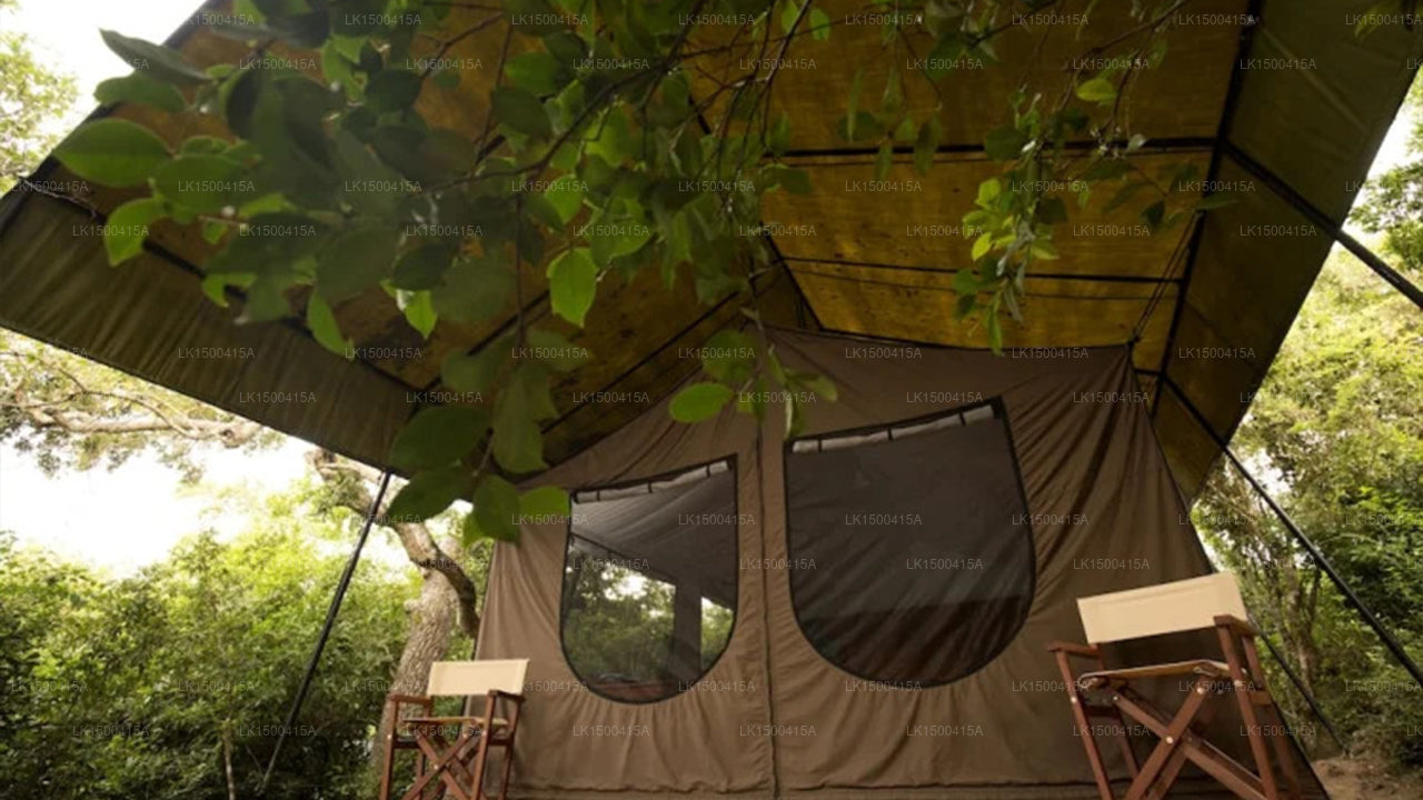 Wild Trails Yala Eco Camp by Yoho, Yala