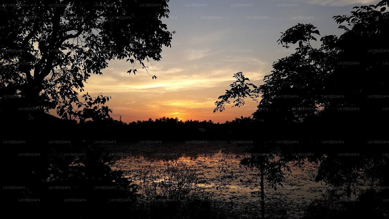 Heritage Lake View, Anuradhapura