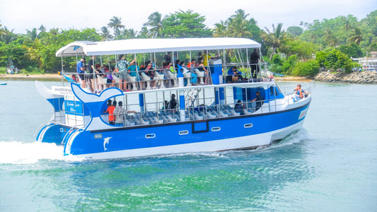 Whale Watching Boat Tour from Galle