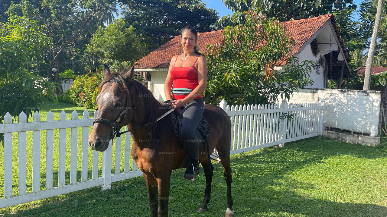 Horse Riding for Professionals from Negombo