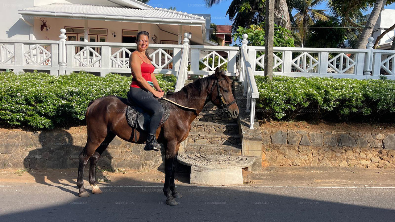 Horse Riding for Professionals from Negombo