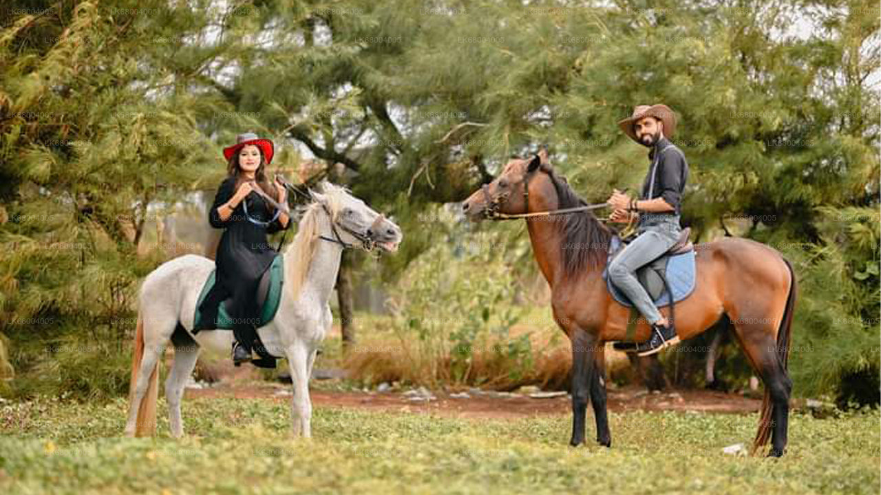 Horse Riding for Professionals from Negombo