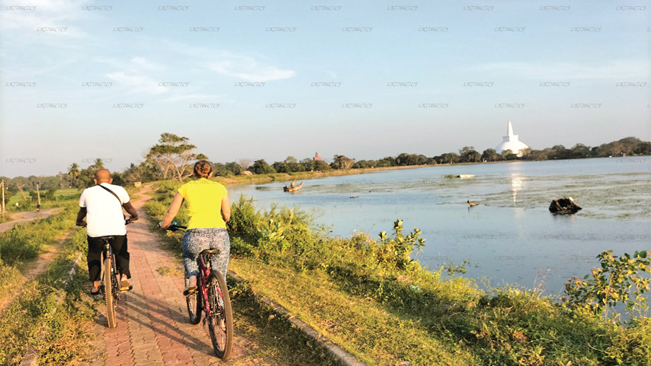 아누라다푸라에서 출발하는 사이클링