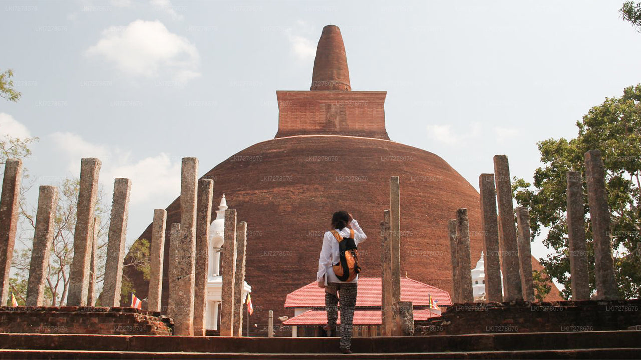 Anuradhapura and Mihintale from Dambulla