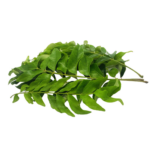 신선한 락푸라 카레 잎 (100g)