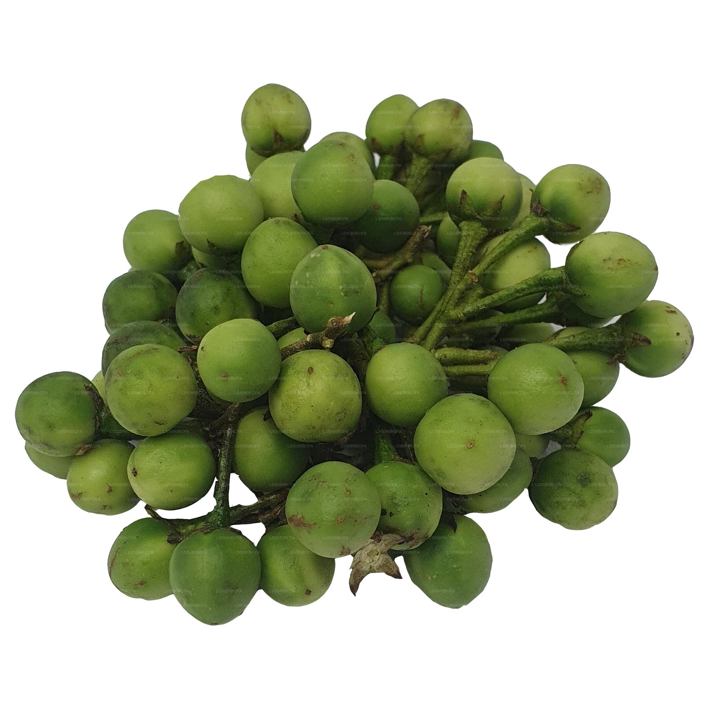 Lakpura Thibbatu (500g)