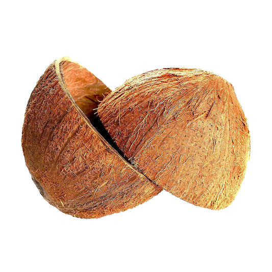 코코넛 쉘 하프 (2개)