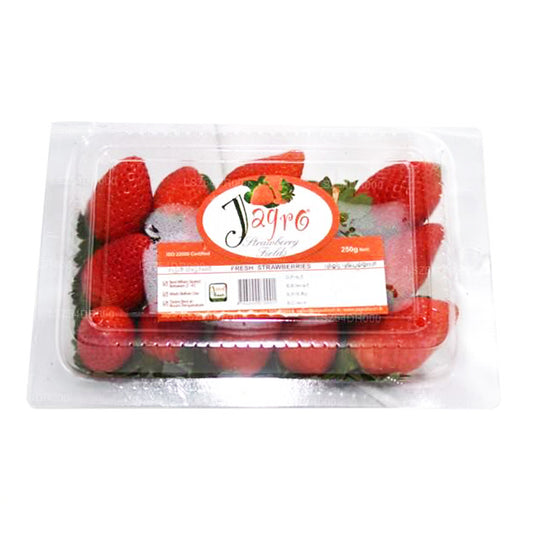 자그로 스트로베리 (250g)