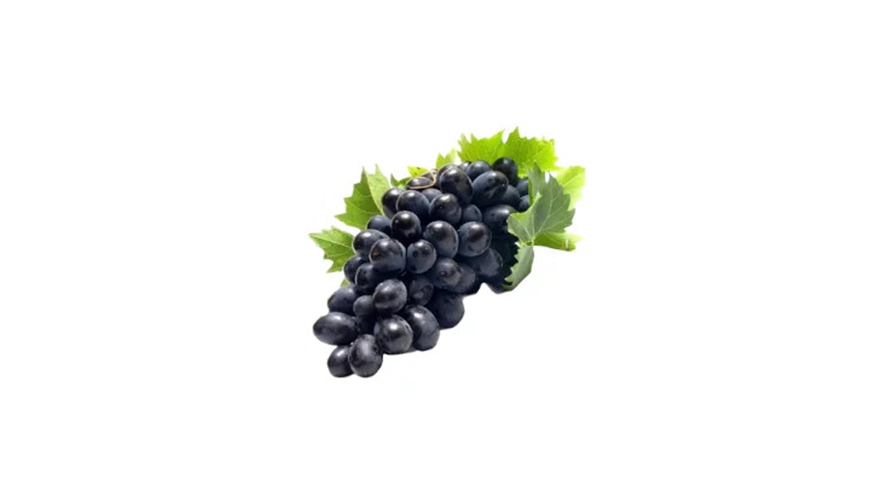 Israel Black Grapes (ඊශ්‍රායෙල් කළු මිදි බද්ධ) Fruit Plant