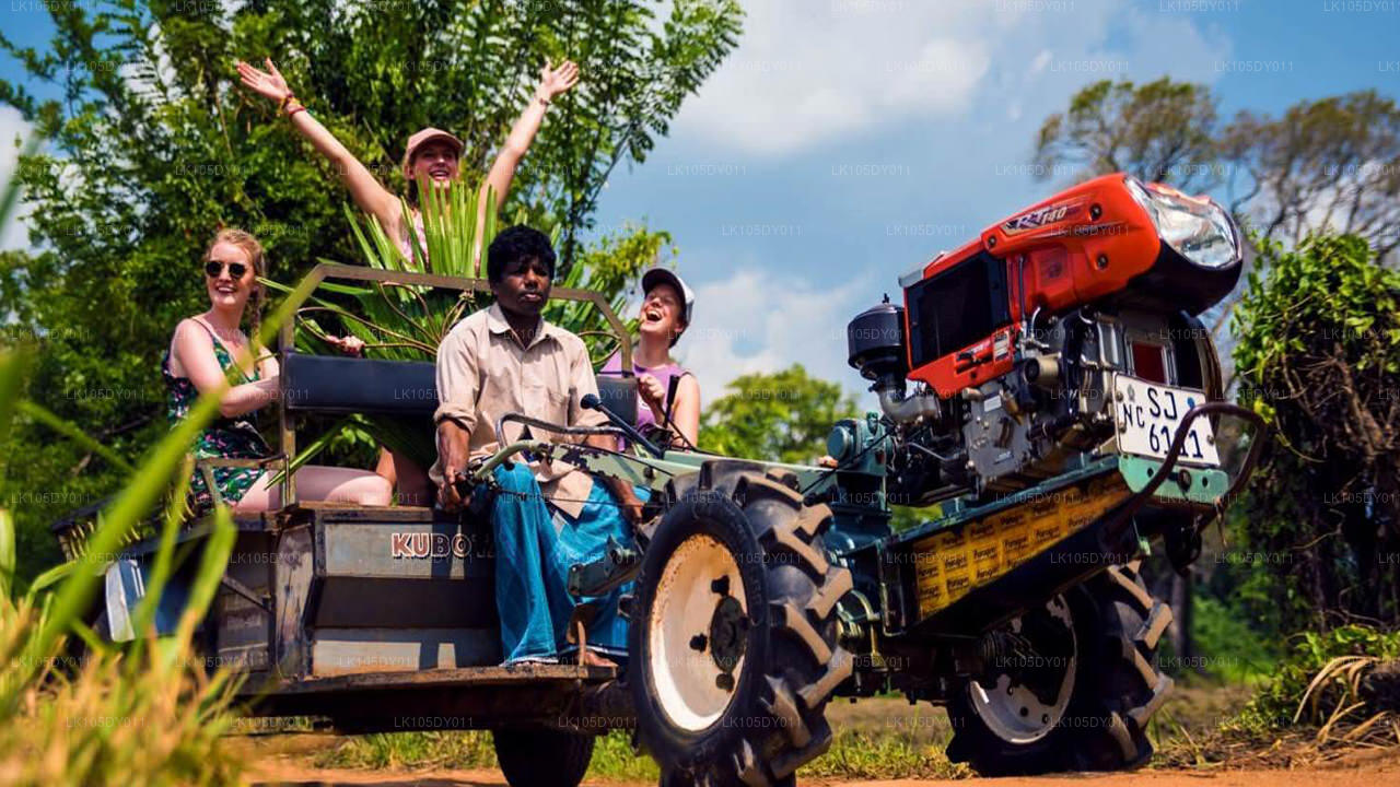 스리랑카 농업 투어 (6일)