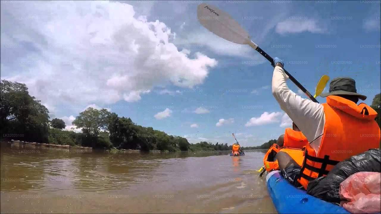 캔디에서 즐기는 마하웰리 강 카누