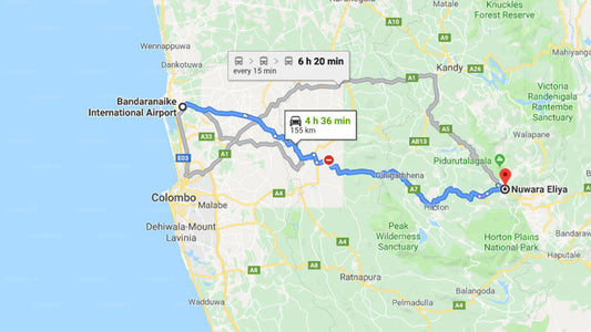 Transfer between Colombo Airport (CMB) and Avian Breeze, Nuwara Eliya