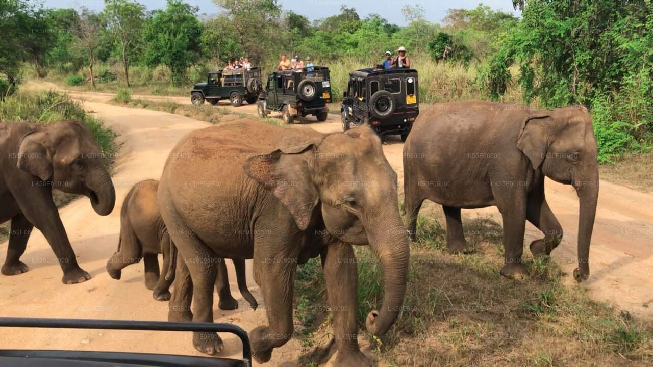 Hurulu Eco Park Private Safari from Dambulla