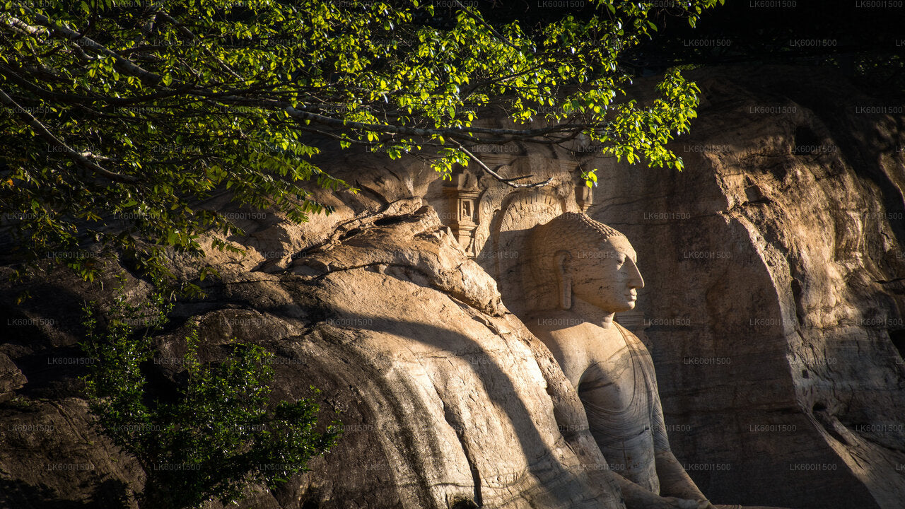 담불라에서 출발하는 폴론나루와 고대 왕국과 야생 코끼리 사파리