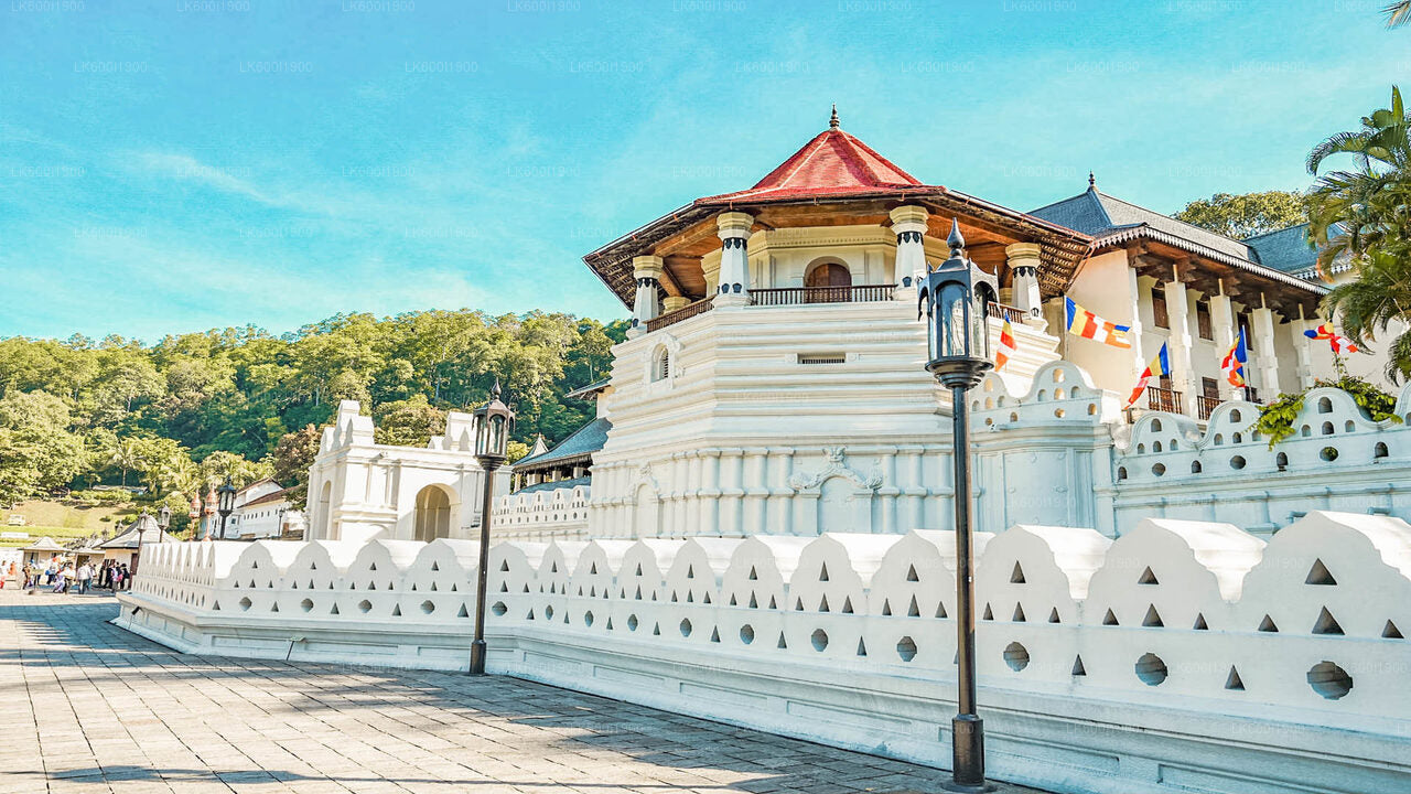 Kandy City Tour from Dambulla