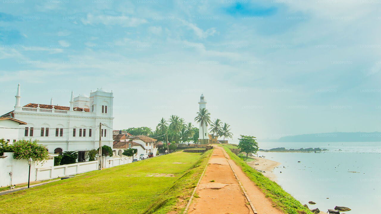 Ancient Dutch Fort Tour and River Safari from Galle