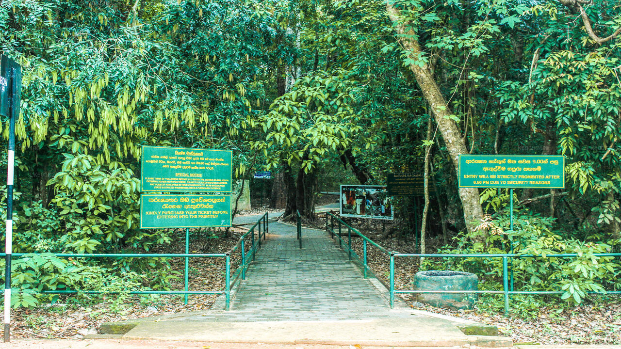 Ritigala, Kala Wewa and Namal Uyana from Habarana