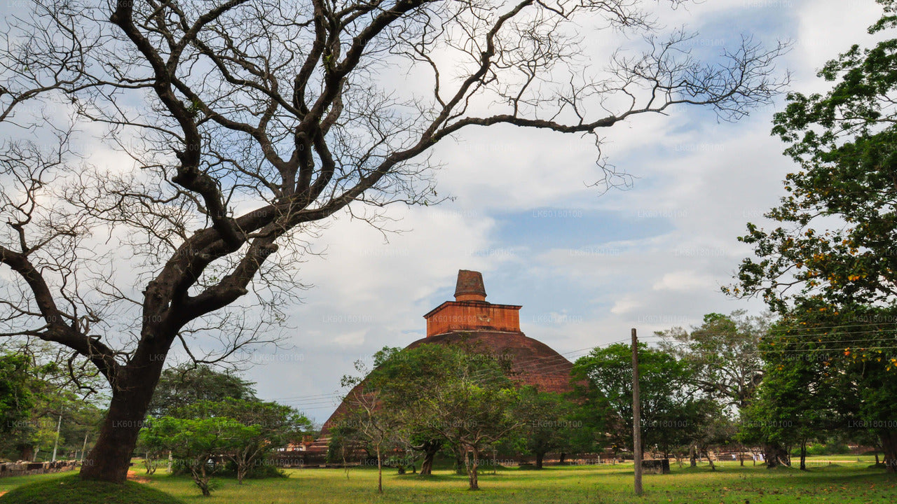 Sacred City of Anuradhapura from Kalpitiya