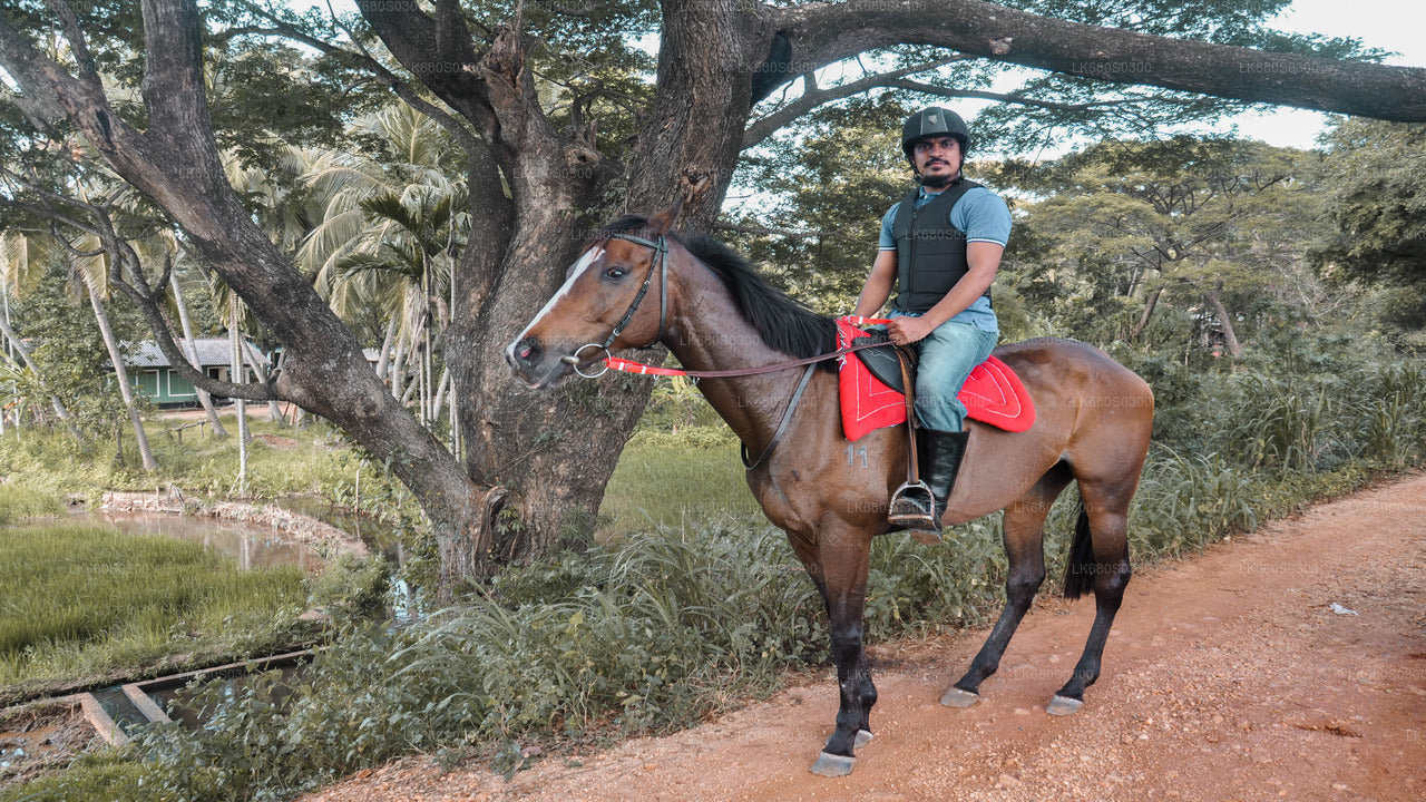 Horse Ride around a Village from Habarana