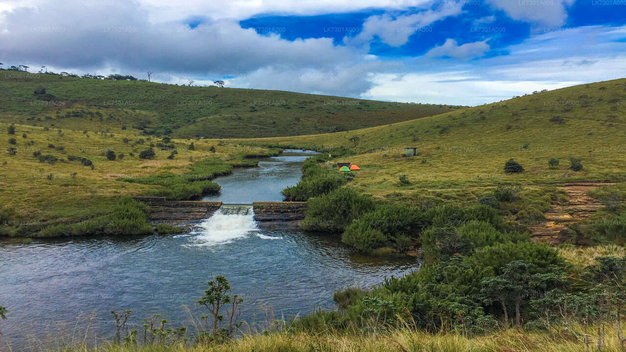 Camping at Horton Plains National Park from Colombo