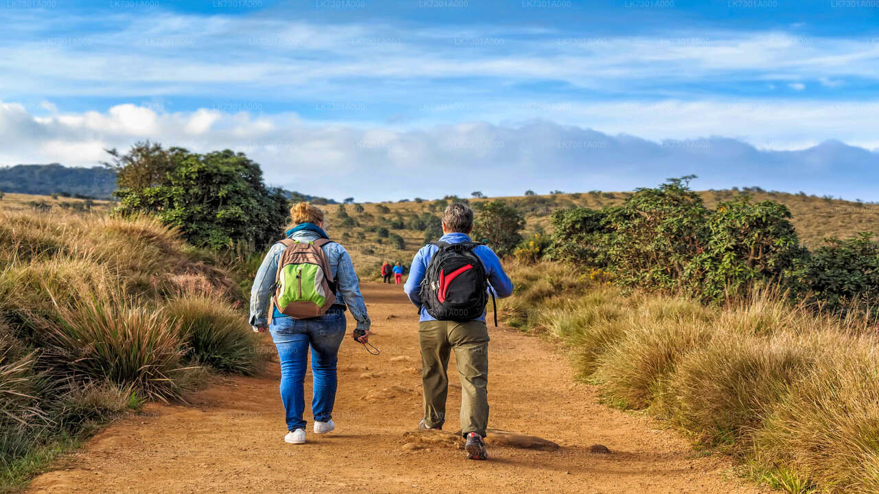 Camping at Horton Plains National Park from Colombo