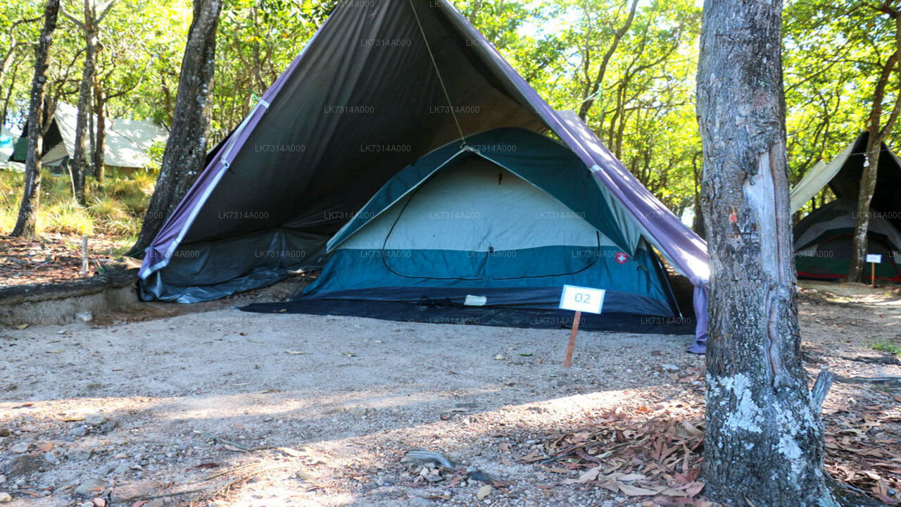 Two Night Camping in Yala National Park