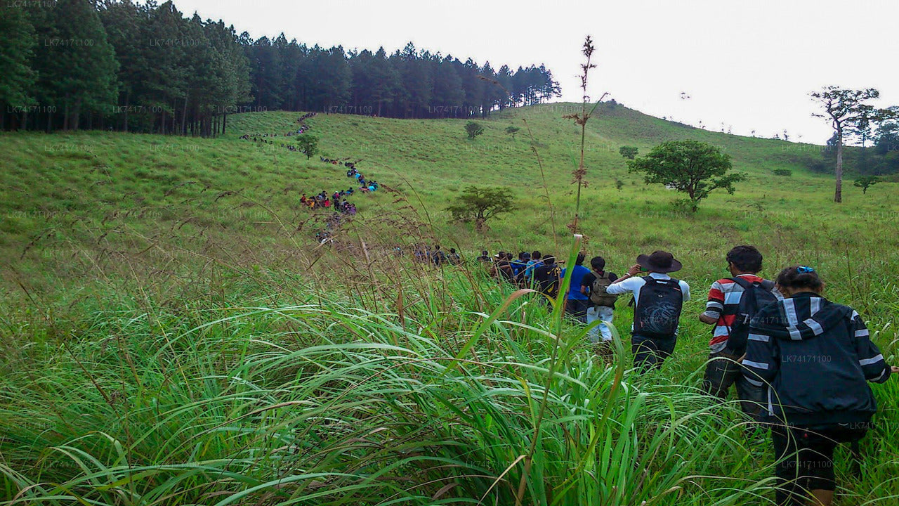 Hanthana Mountain Range Hike from Kandy