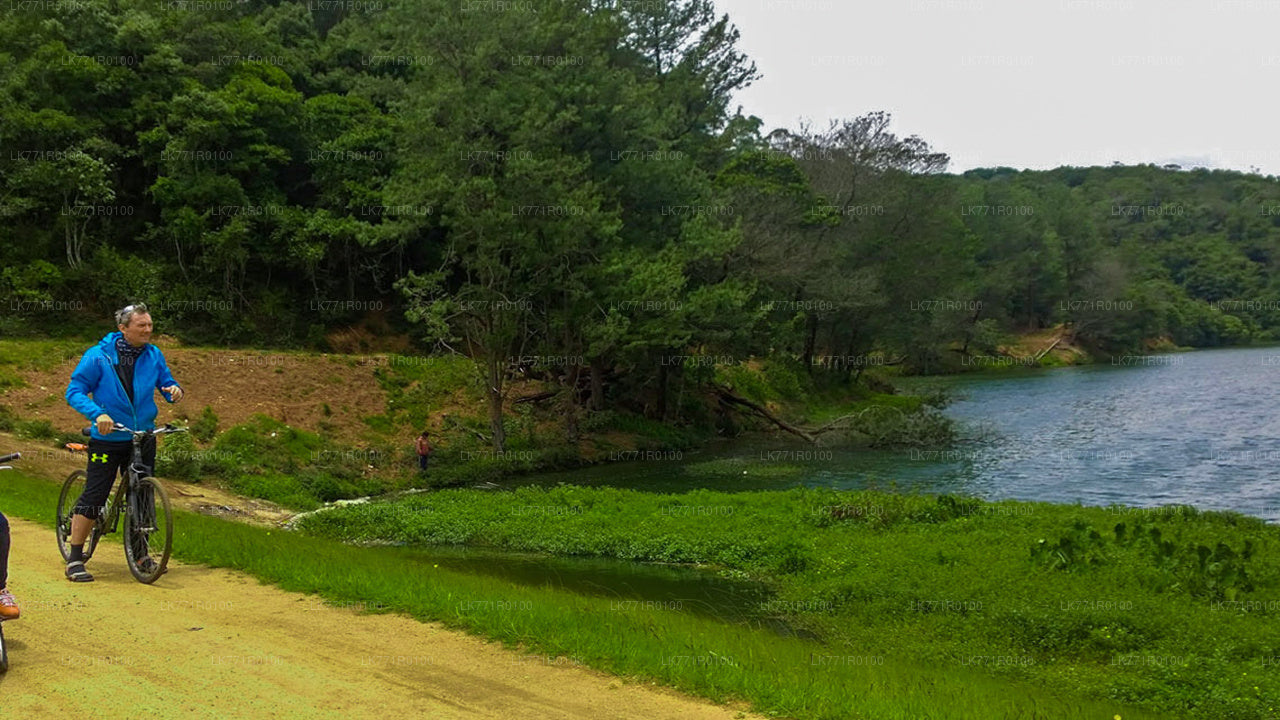 Cycling from Nuwara Eliya