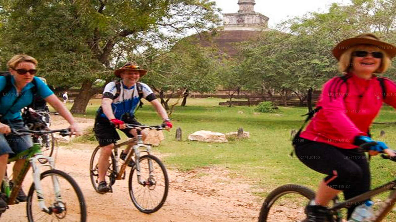 폴론나루와에서 출발하는 고대 유적지 자전거 여행