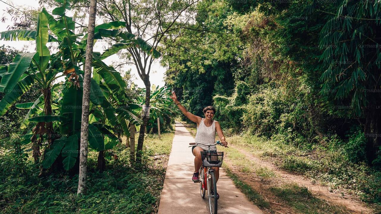 Thalangama Wetland Cycling Tour from Mount Lavinia