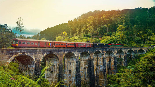 Kandy to Badulla train ride on (Train No: 1015 "Udarata Menike")