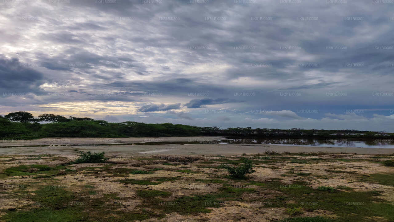 함반토타 항구에서 출발하는 분달라 국립공원 사파리