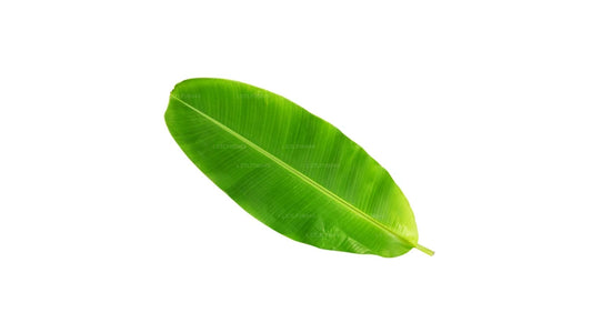 Lakpura Banana Leaf  (20 Leaves) Medium