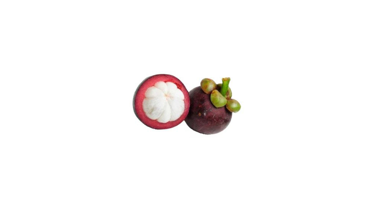 Mangosteen (මැංගුස් බීජ පැල) Fruit Plant